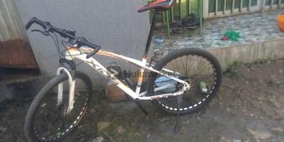 xds  2024 bicycle