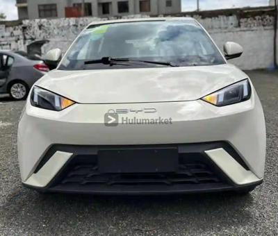 2025 BYD Seagulls Electric BYD Seagulls Electric Model 2025 ካሸ ነው