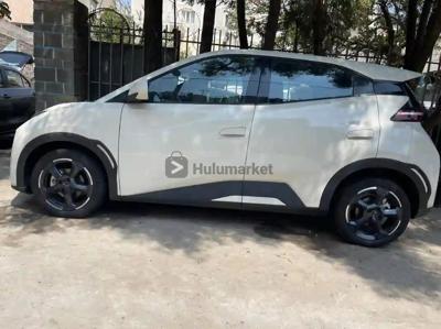 2024 electric byd segule