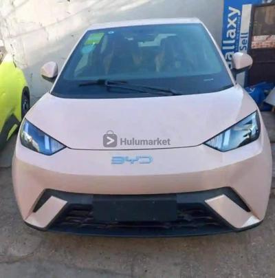 2024 BYD Seagulls Electric BYD Seagulls Electric ፒንክ ዳሸቦርዱBlue Arif Waga