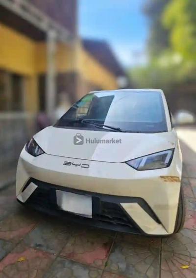 2023 BYD Seagulls Electric Range 305Km BYD Seagulls Range 305km 👈 Km 00