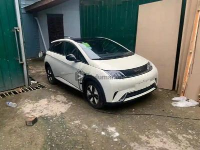 2023 BYD dolphin dolphin