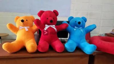Dimbitoys2015