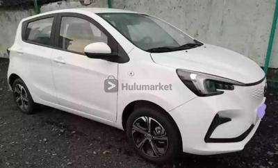 2023 Changi E-star electric  car E-star