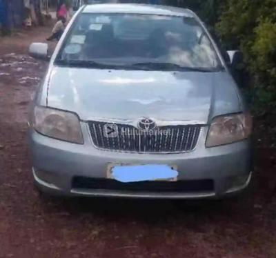 2007 Toyota የሚከራይ Corolla