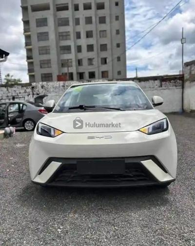 2023 BYD Sagull