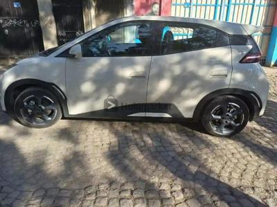 2023 BYD Seagull Electric