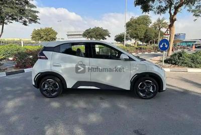 2024 Byd , electric car Byd seagull