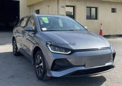 2024 BYD BYD E2