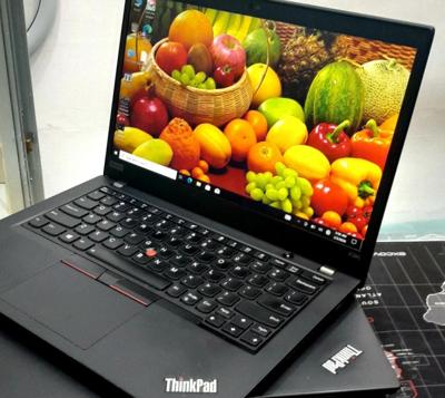 Lenovo Thinkpad X395