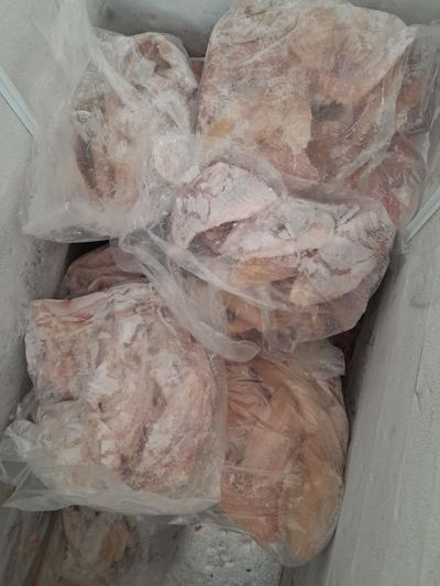 Fresh tilapia fish