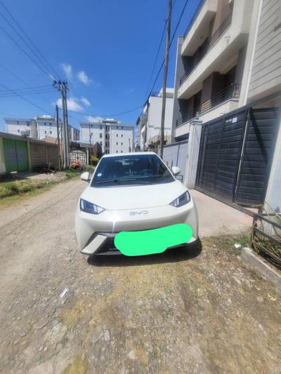 BYD segull 2025 month 4