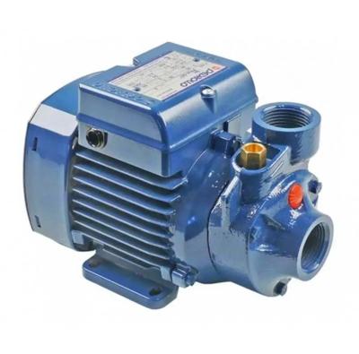 Perdrollo 0.5 hp Italian water pump