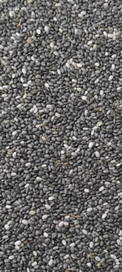 Chia seed
