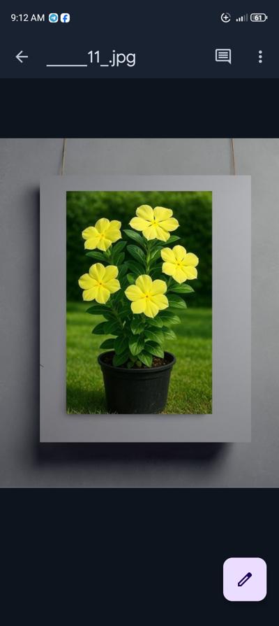 Vibrant Yellow Floral Wall Art