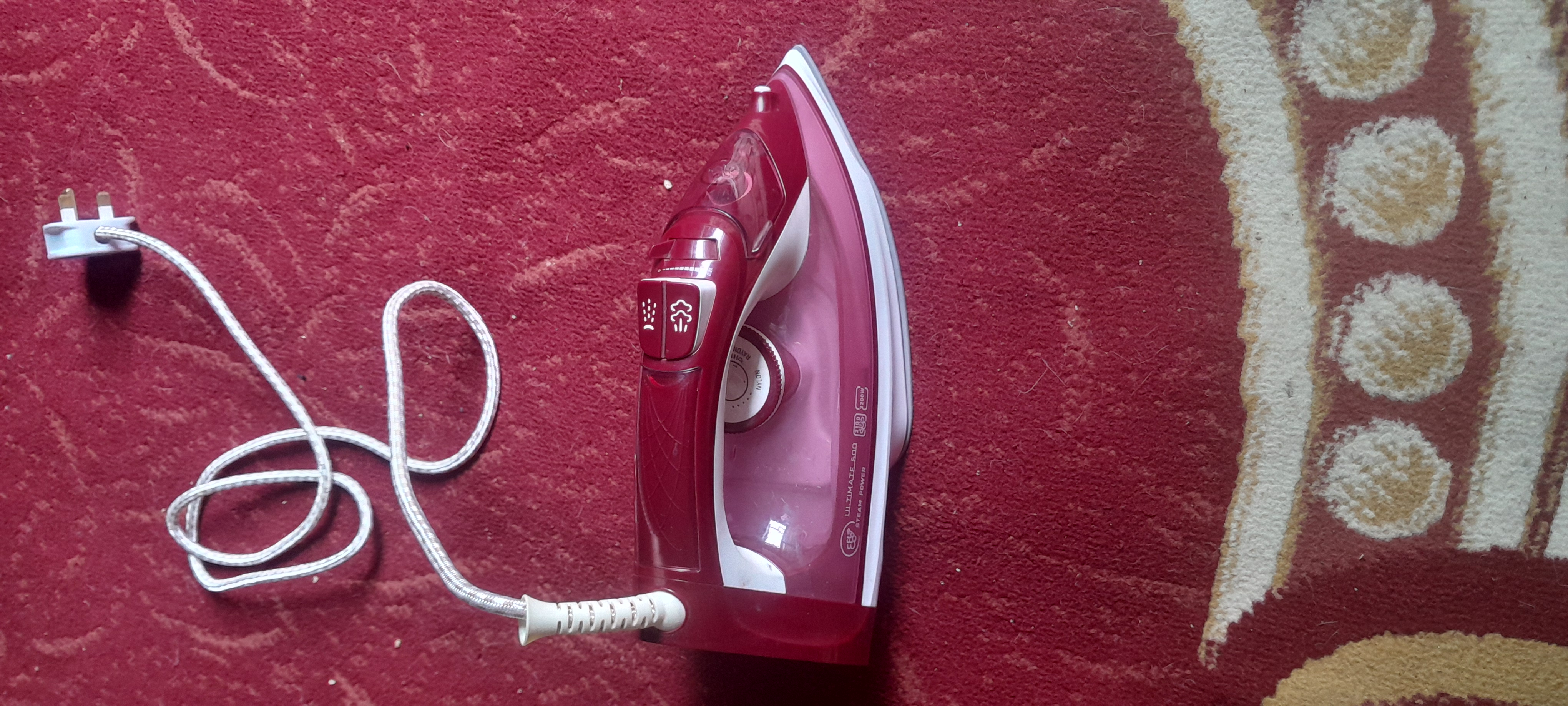 Sacchi steam iron