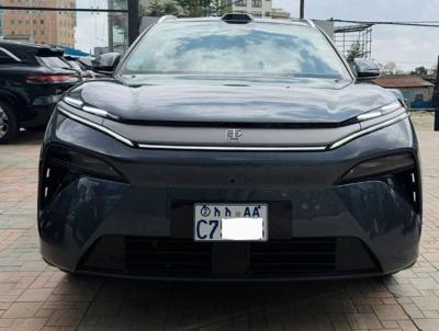 Make:BYD tang l