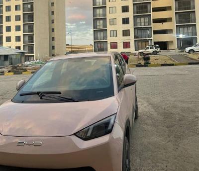Ev Car BYD Seagull
