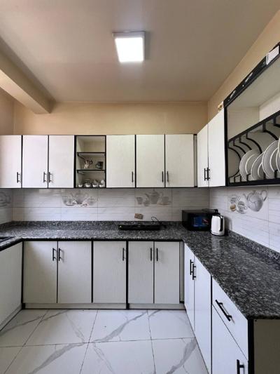 Fully Furnished One Bedroom Apartment for Rent - Meskel Flower