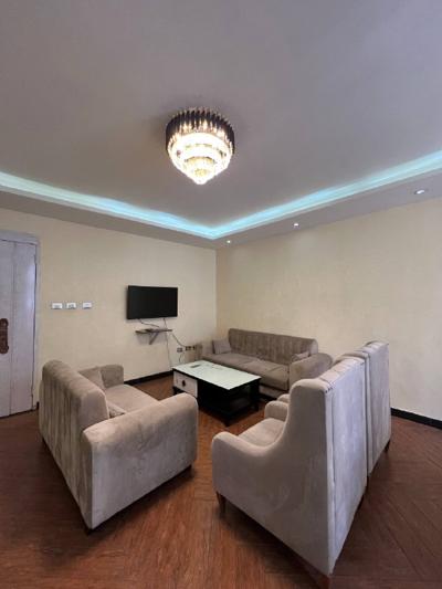Fully Furnished 2 Bedroom Apartment for Rent in Megenagna