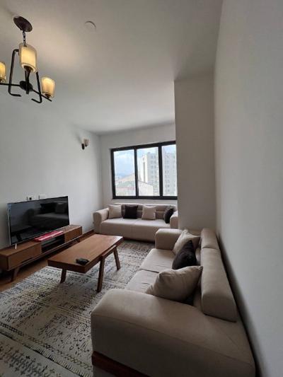 Fully Furnished One Bedroom Apartment for Rent in Bole