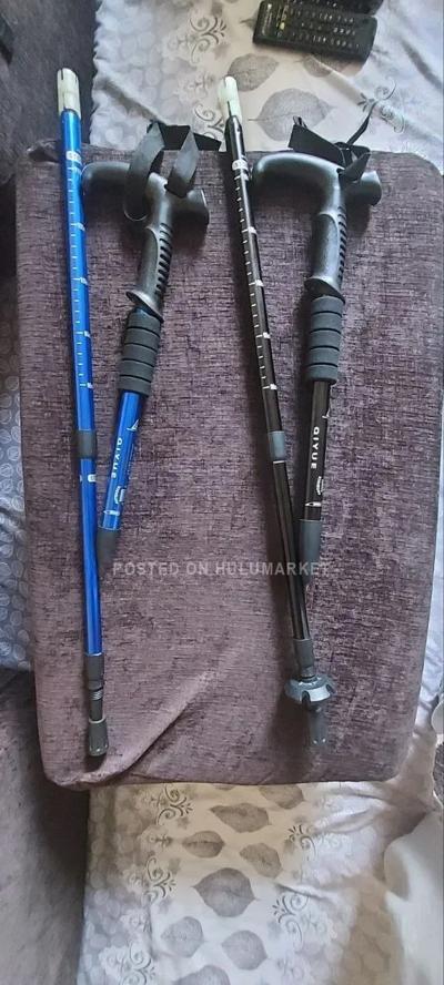 Walking Cane