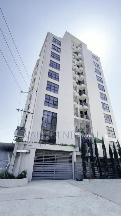 Furnished 4bdrm Apartment in Lideta for sale