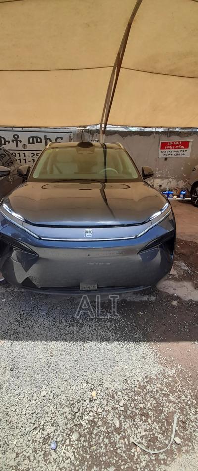 New BYD Tang DM-i 2025 Gray