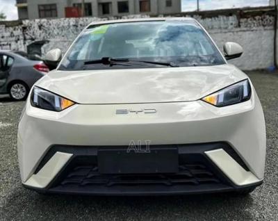 New BYD Seagull 2025 White