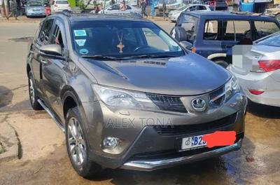 Toyota RAV4 2014 Gray
