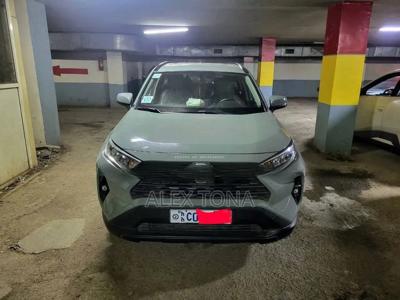 Toyota RAV4 2021 Gray