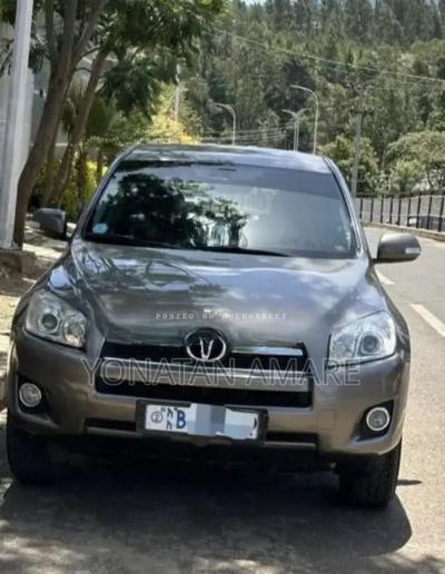 Toyota RAV4 2010 Brown