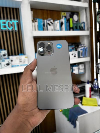 Apple iPhone 13 Pro Max 256 GB Black