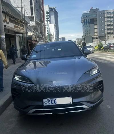 BYD Song Plus 2024 Gray