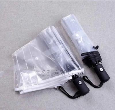 Transparent Umbrella