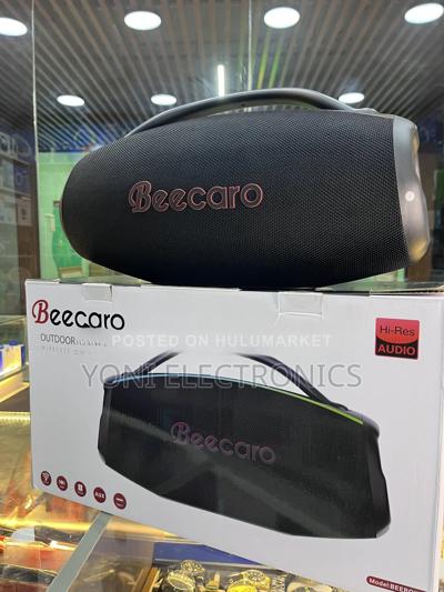 Beecaro 60w Outdoor/Indoor Portable Wireless Speaker
