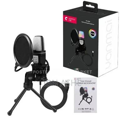 Condenser Microphone