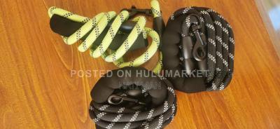 Dogs Leash