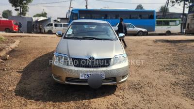 Toyota Corolla 2005 Gold