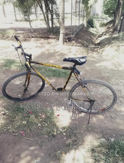 Bicycle Used Phoenix