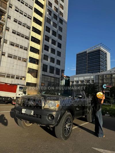 Toyota Tacoma 2008 Gray