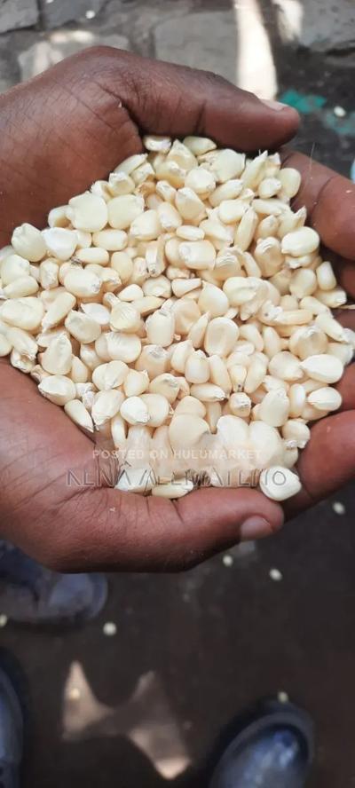 Maize for Flour Factory