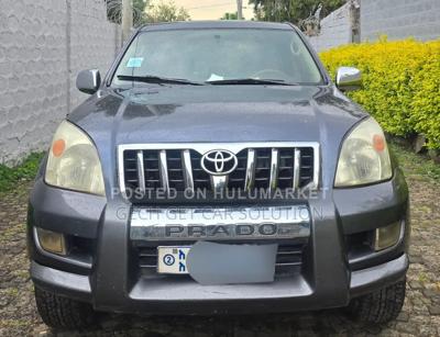 Toyota Land Cruiser 2006 Gray
