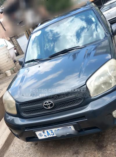 Toyota RAV4 2006 Gray