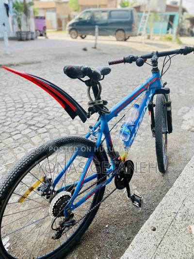 Bicycle Phonex