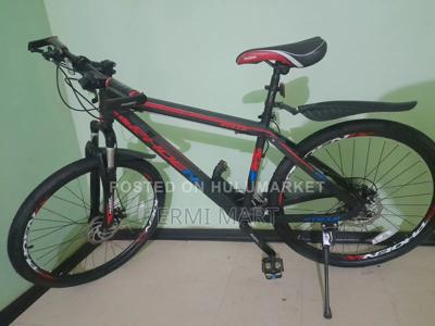Phoenix Mountain Bike