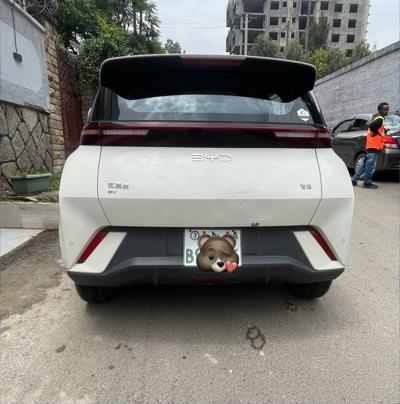 BYD Seagull