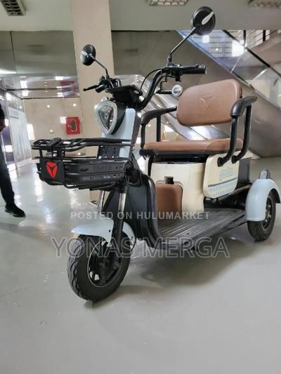 Electrical Wheelchair身凸bike/የአዋቂ ኤሌክትሪክ ባለሶስት ሳይክል 3 የጎማ ባለሶስት ብስክሌት
