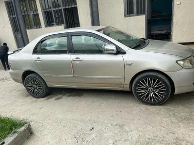 Corolla  rent