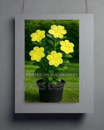 Vibrant Yellow Floral Wall Art